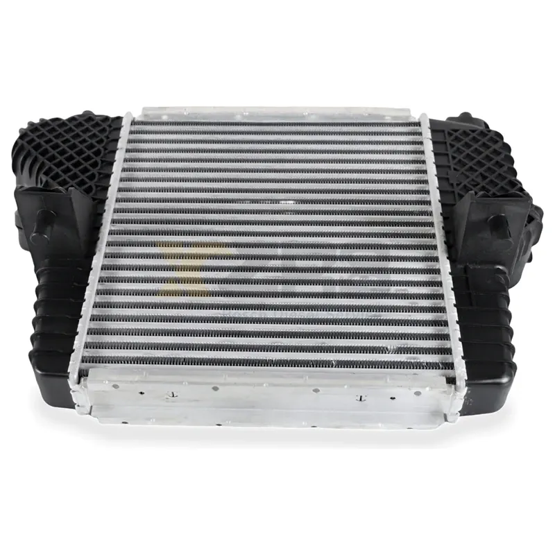 Интеркулер в сборе Ford DL3Z6K775B - Thumbnail 1