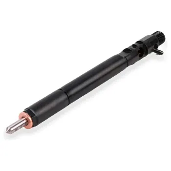 Delphi Common Rail Injector 6640170221 A6640170221 EJBR04701D for Ssangyong Actyon/Kyron D20DT